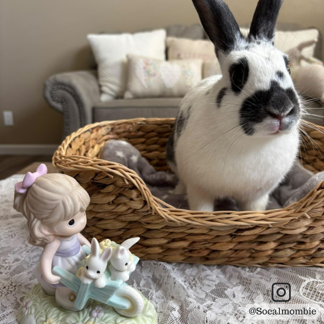 Wishing You Bunny Kisses And Springtime Wishes Figurine - Image 6